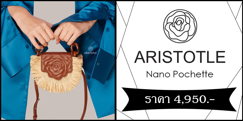Aristotle bag - nano pochette