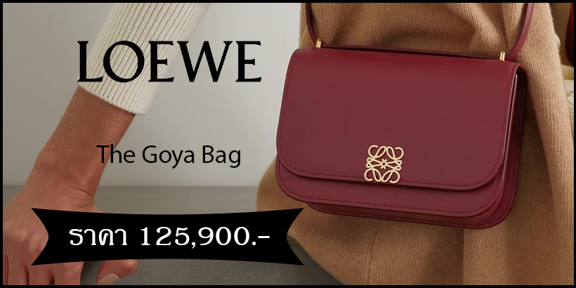 LOEWE The Goya Bag